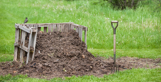 Measure, Monitor, Manage: How We Care for Our Soil