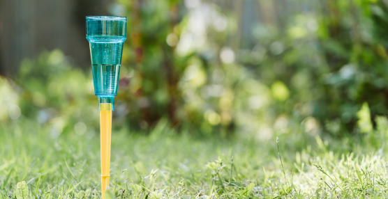 3 Reasons Why Every Garden Needs a Rain Gauge