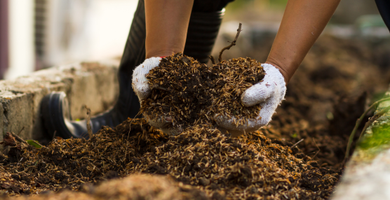 The Do's and Don'ts for Effective Composting