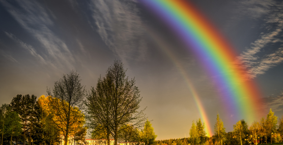 Raindrops to Rainbows: How they paint the sky