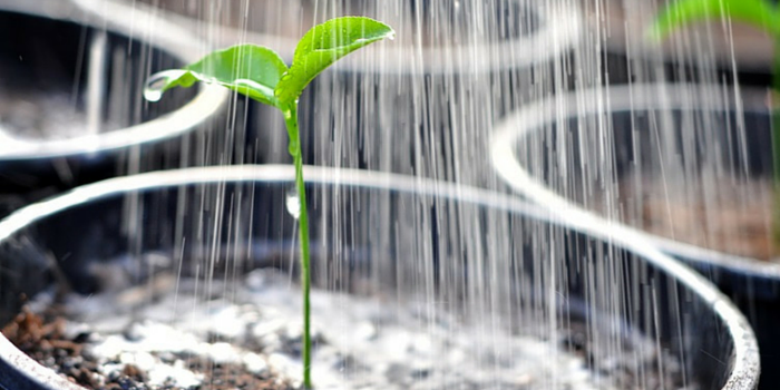 Start Your Own Rainfall Study