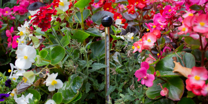 How to Choose the Best Garden Thermometer